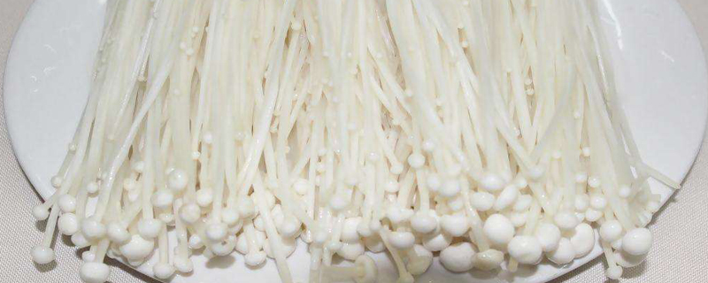 金針菇根部怎麼再發芽（再次生長小妙招）