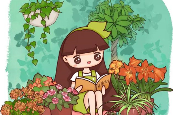 花長得醜，卻是吉祥之物，養人又鎮宅！