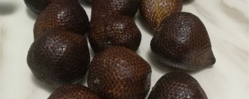 蛇皮果種子盆栽怎麼種，需要幾年掛果