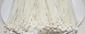 金針菇根部怎麼再發芽（再次生長小妙招）