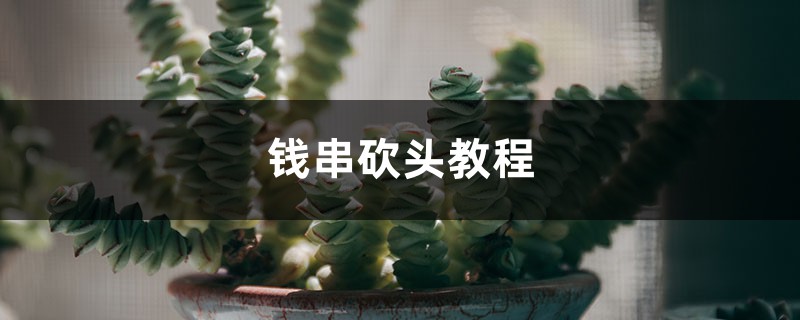 錢串砍頭教程
